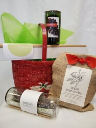 Growing Gift Basket 