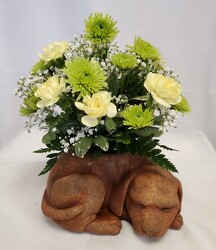 Brown Dog with Fresh Flowers 