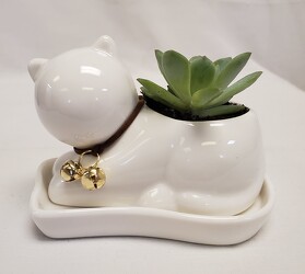 Ceramic Cat with Succulent