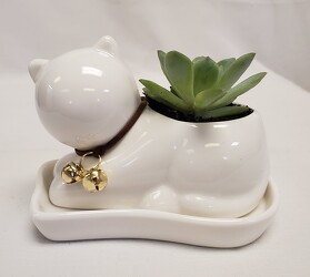 Ceramic Cat with Succulent 