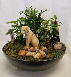 Dog Angel in Dish Garden