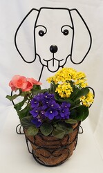 Metal Dog with Blooming Plants