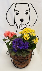 Metal Dog with Blooming Plants 