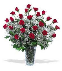 2 Dozen Roses Vased