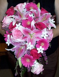 Pink Palet