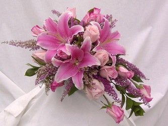 Sorbonne Lilies