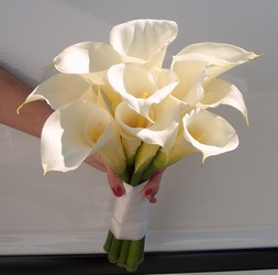 Calla Lilies