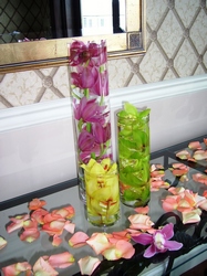 Cymbidium Orchids