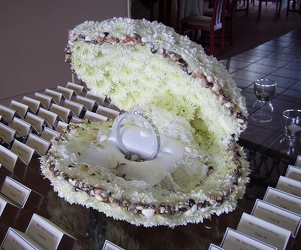 Oayster Shell 