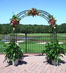 Arch in Magenta and Green
