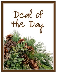 Deal of the Day - Winter 