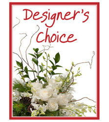 Designer's Choice - Winter 