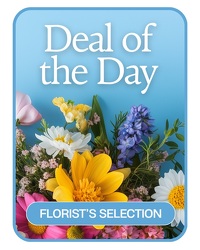 Florist's Deal of the Day