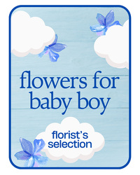 Designer's Choice Baby Boy