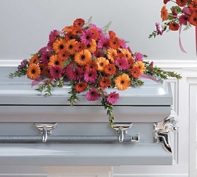 Gerbera Daisy Half Couch Casket Spray Gerbera Daisy Half Couch Casket Spray