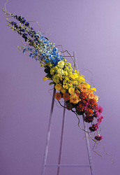 Rainbow Standing Spray 