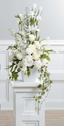 White Sympathy Arrangement