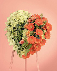 Orange Gerbera Daisy and Green Viburnum Heart