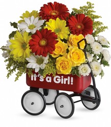 Baby's Wow Wagon - Girl