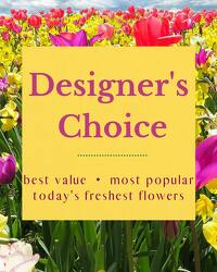 Designer's Choice 