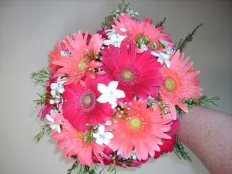 Pink and Coral Gerbera Daisies