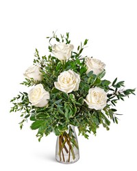 Half Dozen White Roses Half Dozen White Roses
