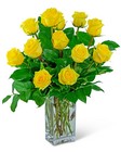 Yellow Roses (12) 