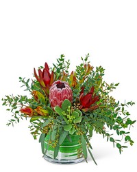 Protea Wilderness