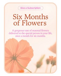 Bouquet of the Month Club (6)