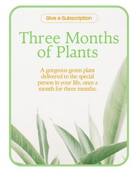 Plant Subscription (3)