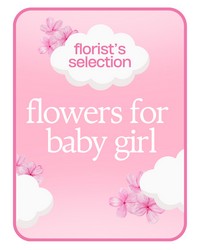 Designer's Choice Baby Girl