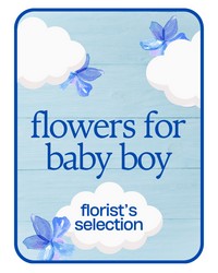 Designer's Choice Baby Boy 