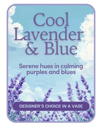 Cool Lavender & Blue-Designer's Choice