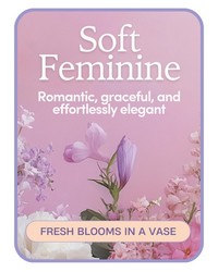Soft Feminine-Designer's Choice