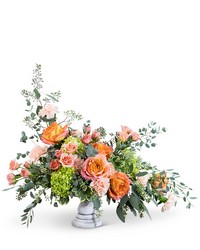 Coral Compote