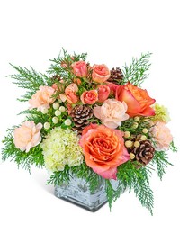 Peachy Woodland