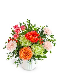 Apricot Charm