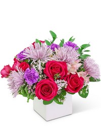 Posh Posy Luxe 