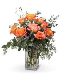 Free Spirit Roses (9)