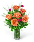 Half Dozen Wild and Free Spirit Roses 