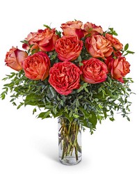 One Dozen Wild Spirit Roses