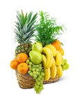 Green Goodness Fruit & Plant Basket 