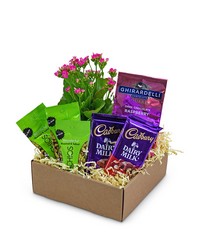 Sugar and Spice Basket
