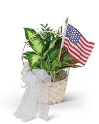 Patriotic Planter