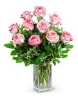 Paloma Roses (12) 