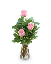 Pink Roses (3)