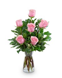 Pink Roses (6)