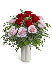 One Dozen Pink and Red Roses
