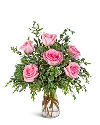 Half Dozen Pink Roses Half Dozen Pink Roses