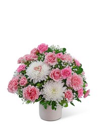 Sweet Love Blooming